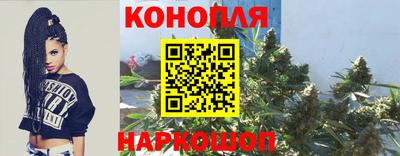 гидра Свободный