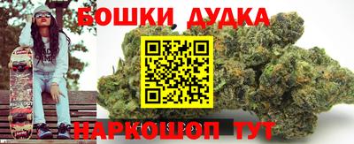 гидра Свободный